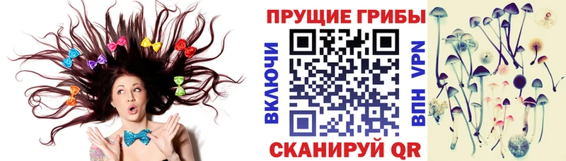 Псилоцибиновые грибы MAGIC MUSHROOMS  купить наркотики сайты  Шацк 